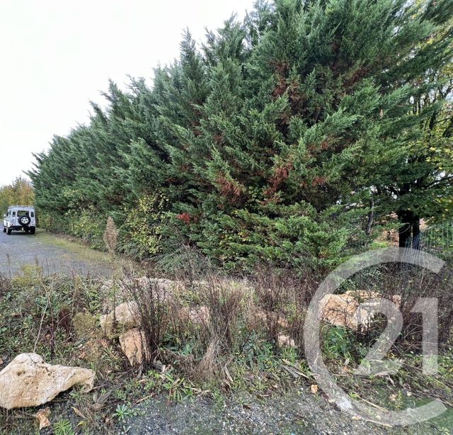 terrain à vendre - 3000.0 m2 - REIGNAC SUR INDRE - 37 - CENTRE - Century 21 Agence Jaurès