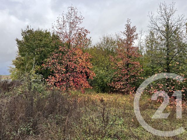 terrain à vendre - 3000.0 m2 - REIGNAC SUR INDRE - 37 - CENTRE - Century 21 Agence Jaurès