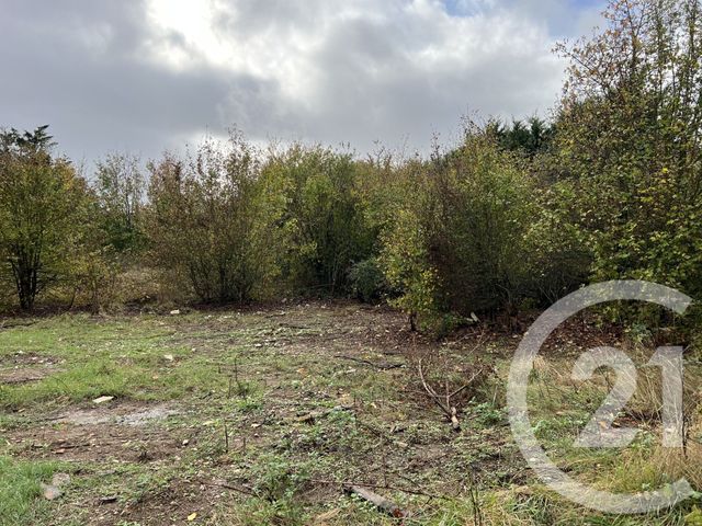 terrain à vendre - 3000.0 m2 - REIGNAC SUR INDRE - 37 - CENTRE - Century 21 Agence Jaurès